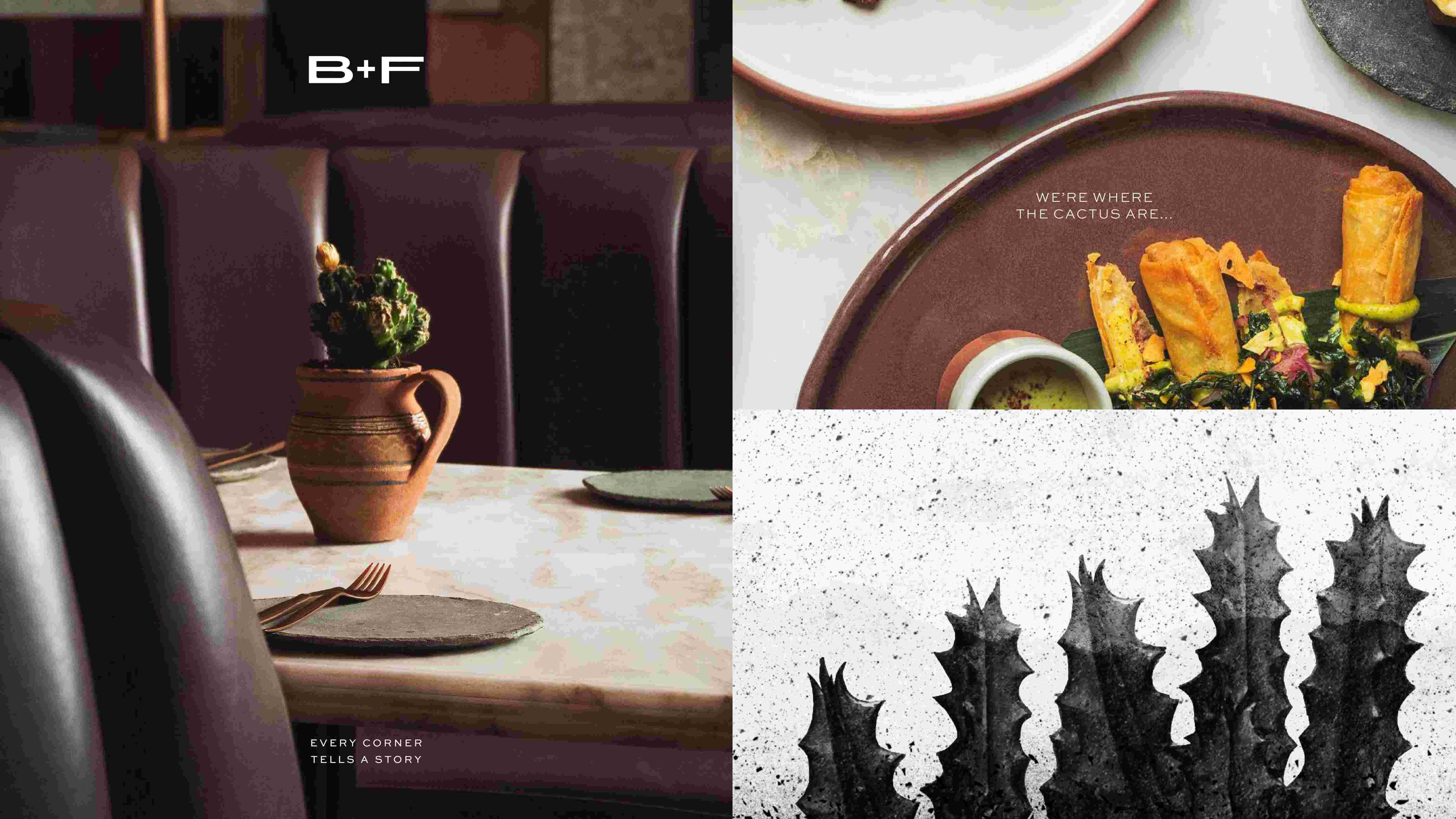 Branding Project for B+F