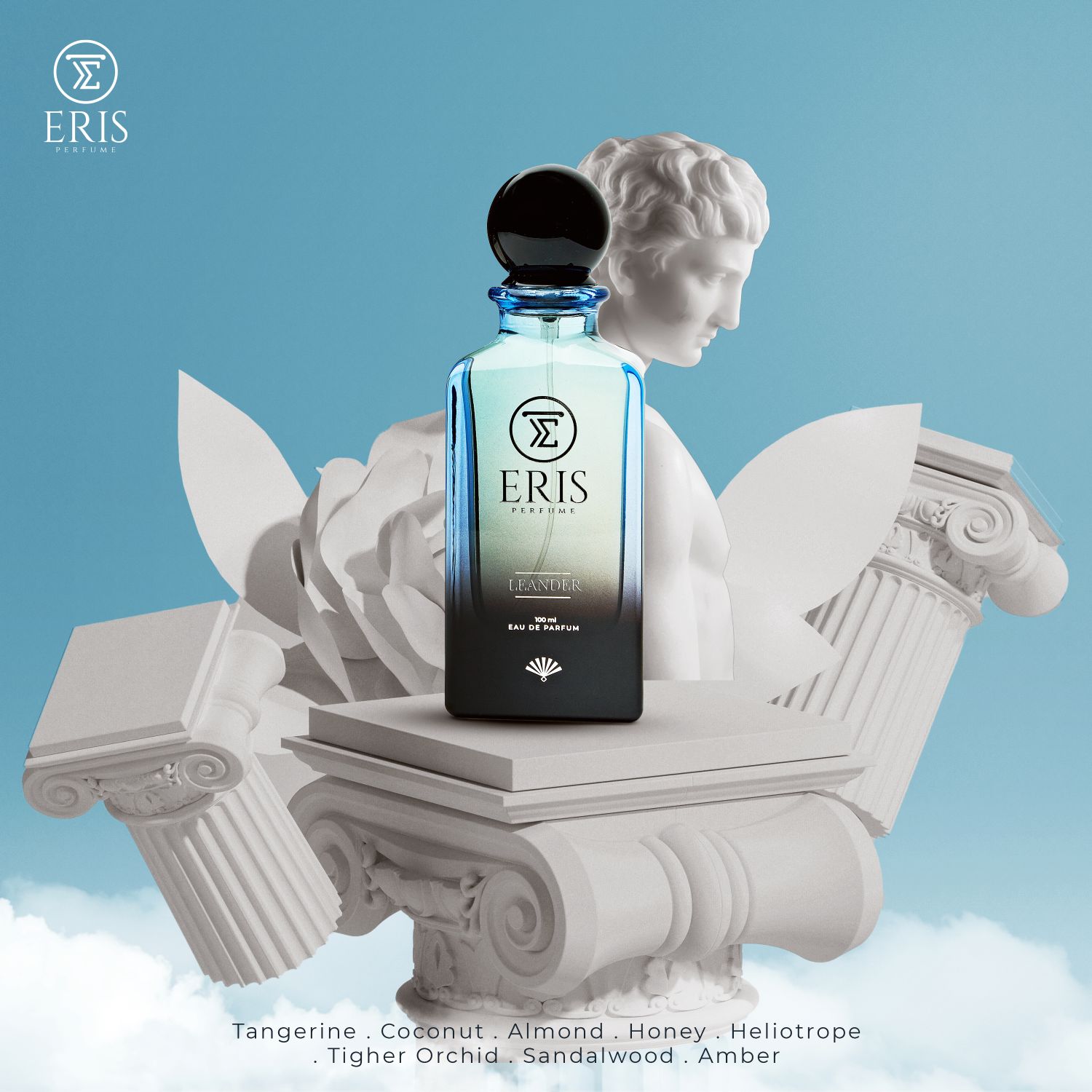 Social Media For Eris