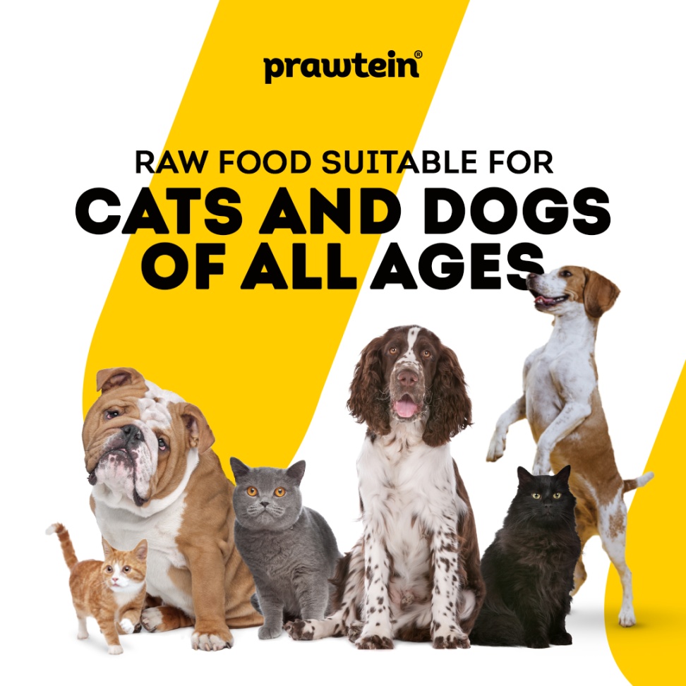 Social Media For Prawtein